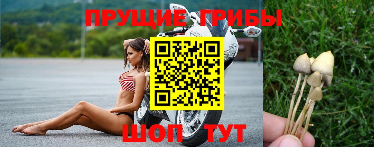 Псилоцибиновые грибы GOLDEN TEACHER  Вход с VPN  Геленджик 