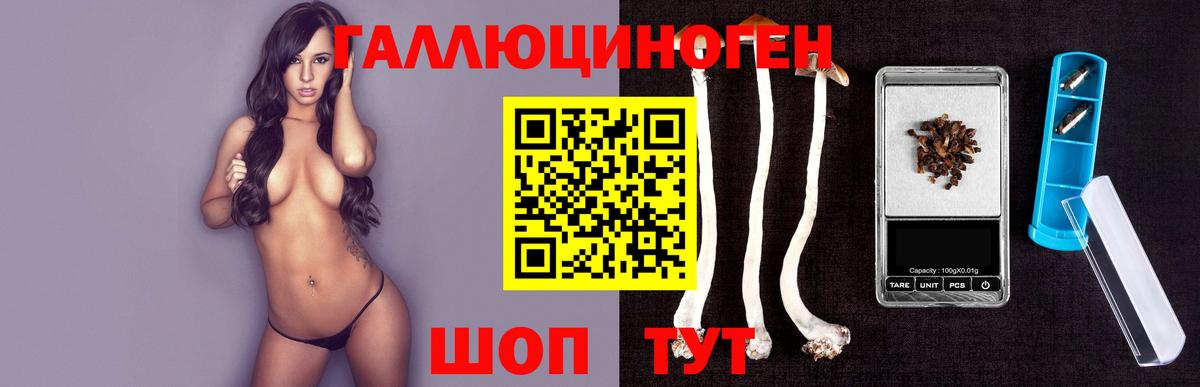 Галлюциногенные грибы MAGIC MUSHROOMS Геленджик